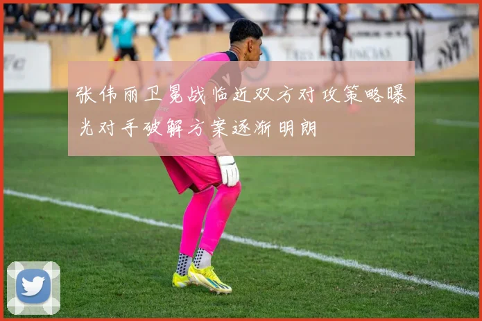 张伟丽卫冕战临近双方对攻策略曝光对手破解方案逐渐明朗