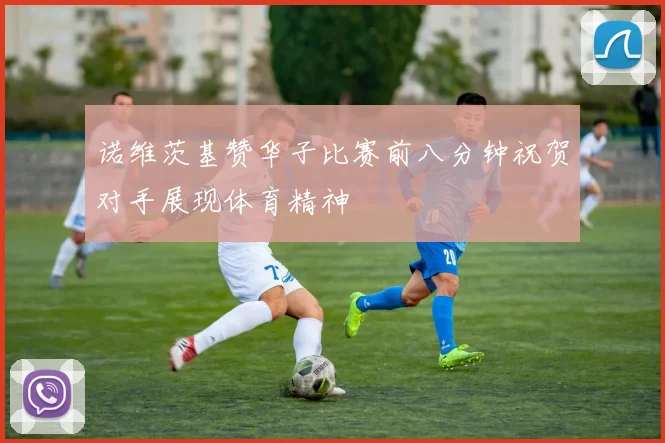 诺维茨基赞华子比赛前八分钟祝贺对手展现体育精神