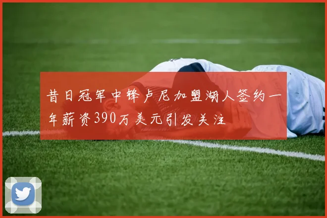 昔日冠军中锋卢尼加盟湖人签约一年薪资390万美元引发关注