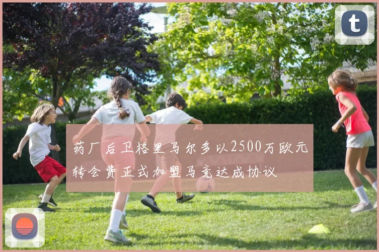 药厂后卫格里马尔多以2500万欧元转会费正式加盟马竞达成协议