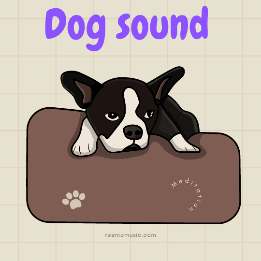 Dog barking sound free download now Free Download 🤩